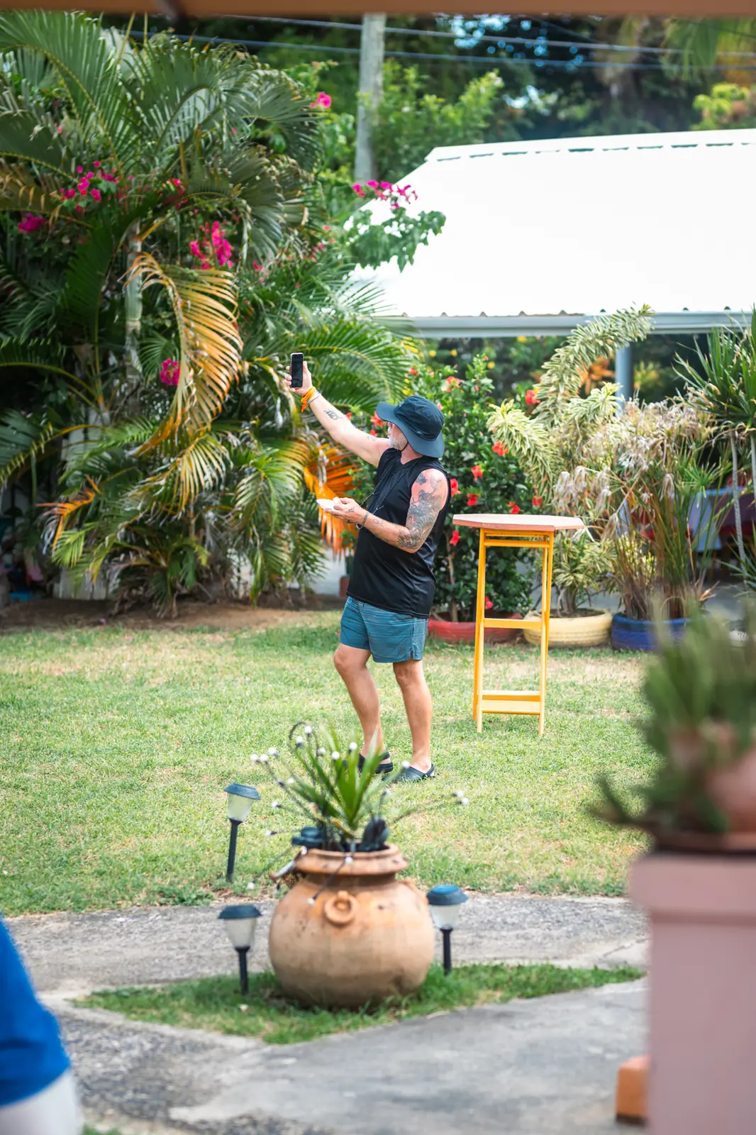 The garden lawn with palms during a lunch event