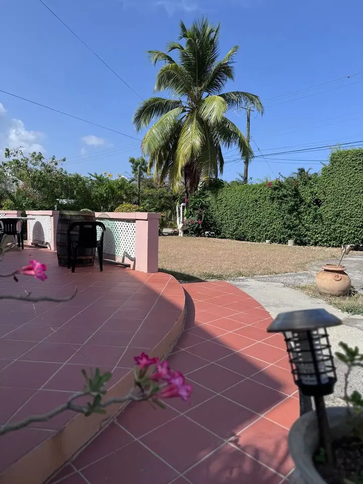 Terrace with palm tree and flowers